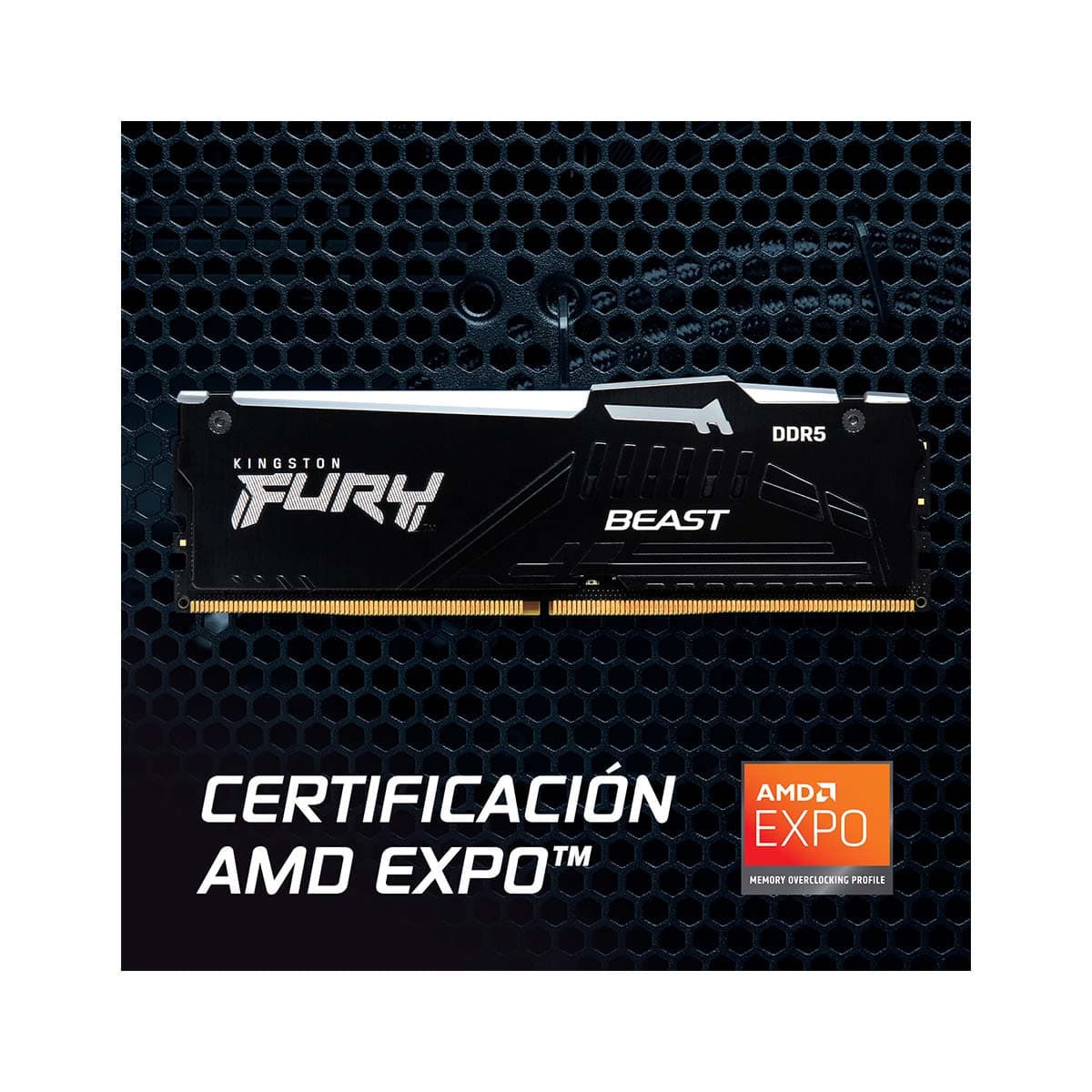 DDR5 16GB 6000MHz Kingston Fury Beast RGB RAM Memory For Desktop PC